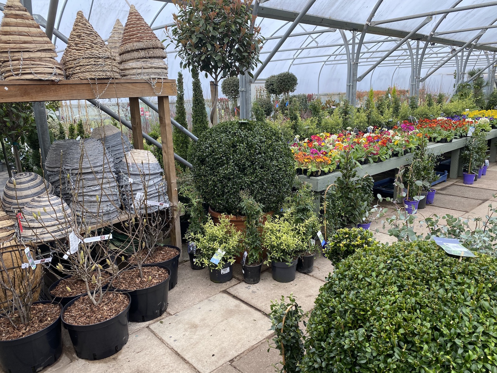 Primrose Hill Nursery | lymm.uk